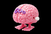 COG Wind-Up Brain Toy - product view