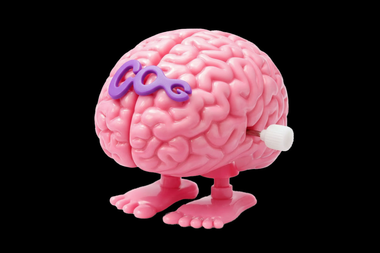 COG Wind-Up Brain Toy - product view